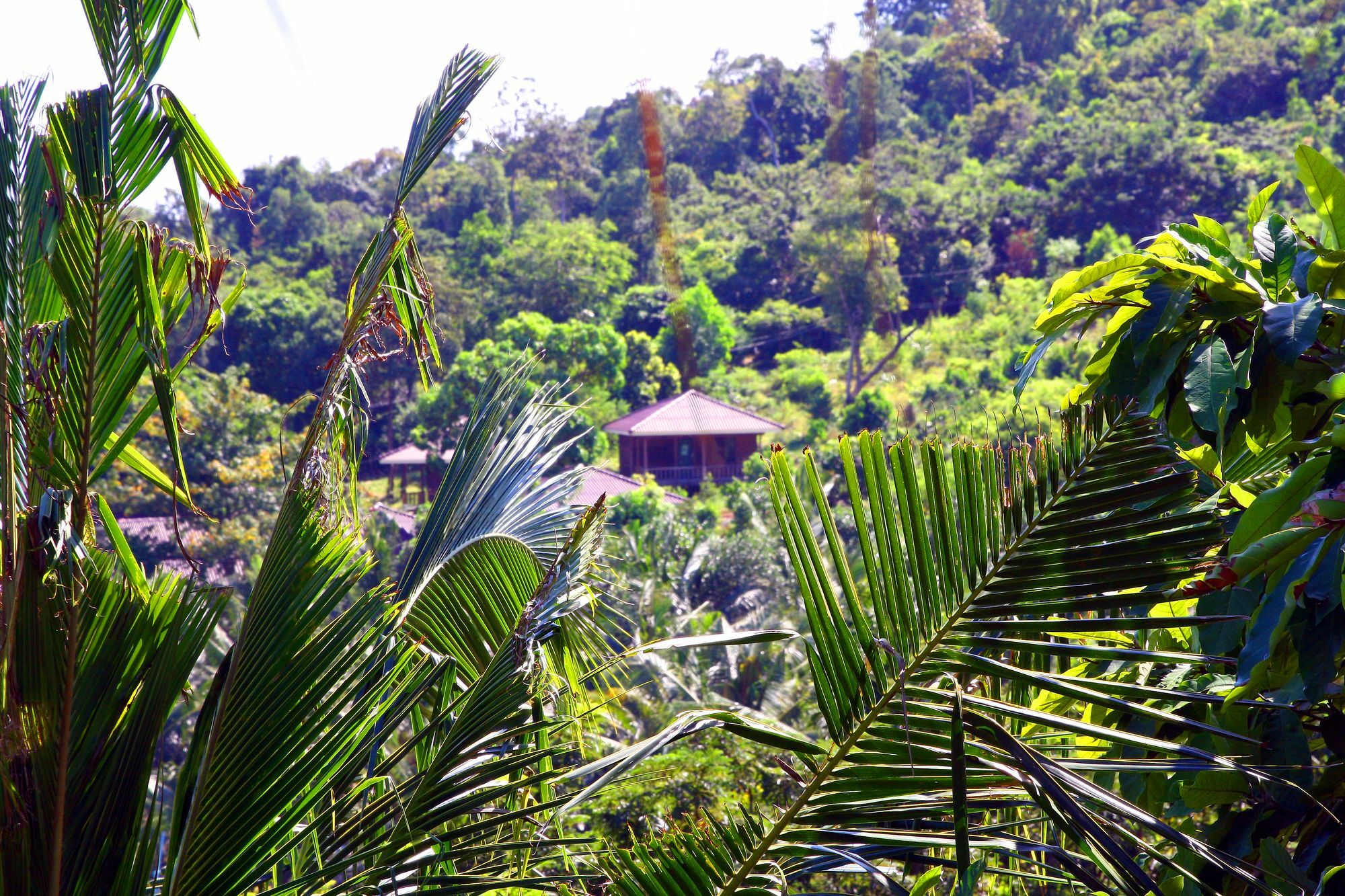 Coco Boutique Resort Kaoh Touch Экстерьер фото